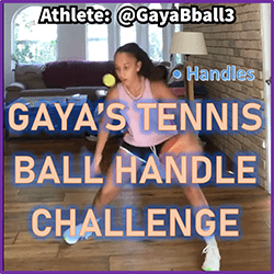 Gayas Tennis Ball Handle Challenge