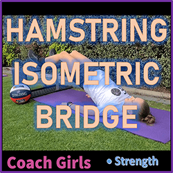 Hamstring Isometric Bridge
